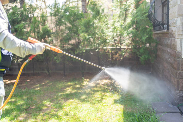 Best Residential Pest Control  in Blue Hills, CT